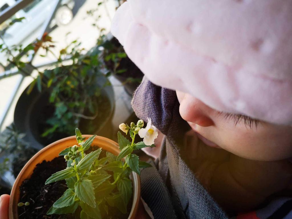 Sur le balcon à Pessac, quelques mois avant notre déménagement en Charente et la création de La Dame aux Armoires ; je montre à ma fille un nemesia vanille.